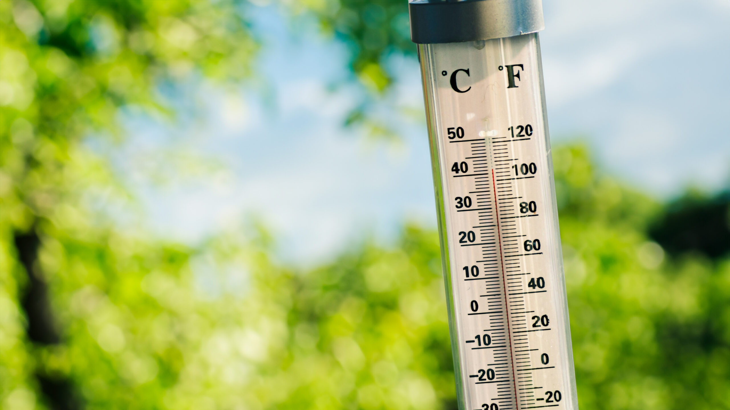 Thermometer: Wandelen bij warm weer