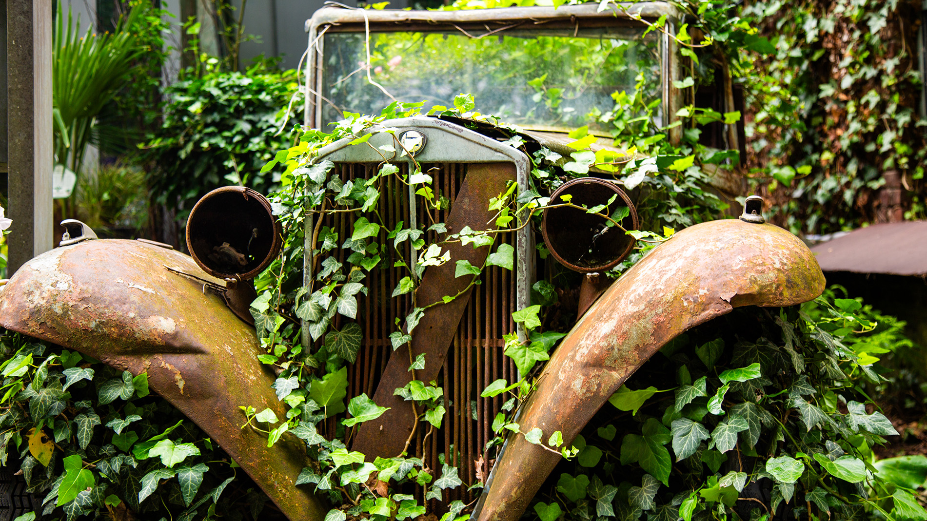 Wandelen zonder wagen Dilbeek