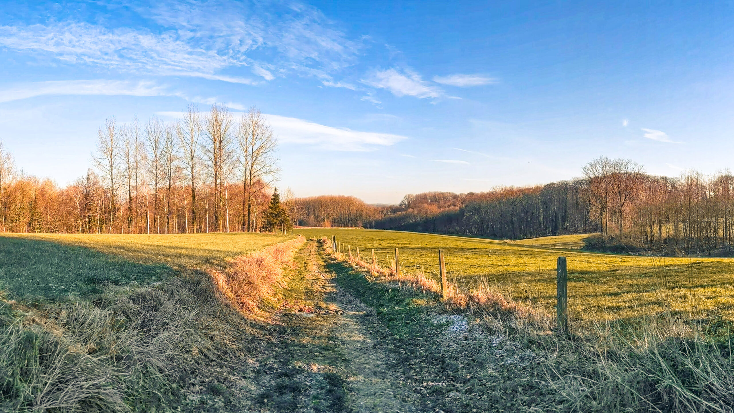 Goldenhour Vlaamse Ardennen tijdens wandeling