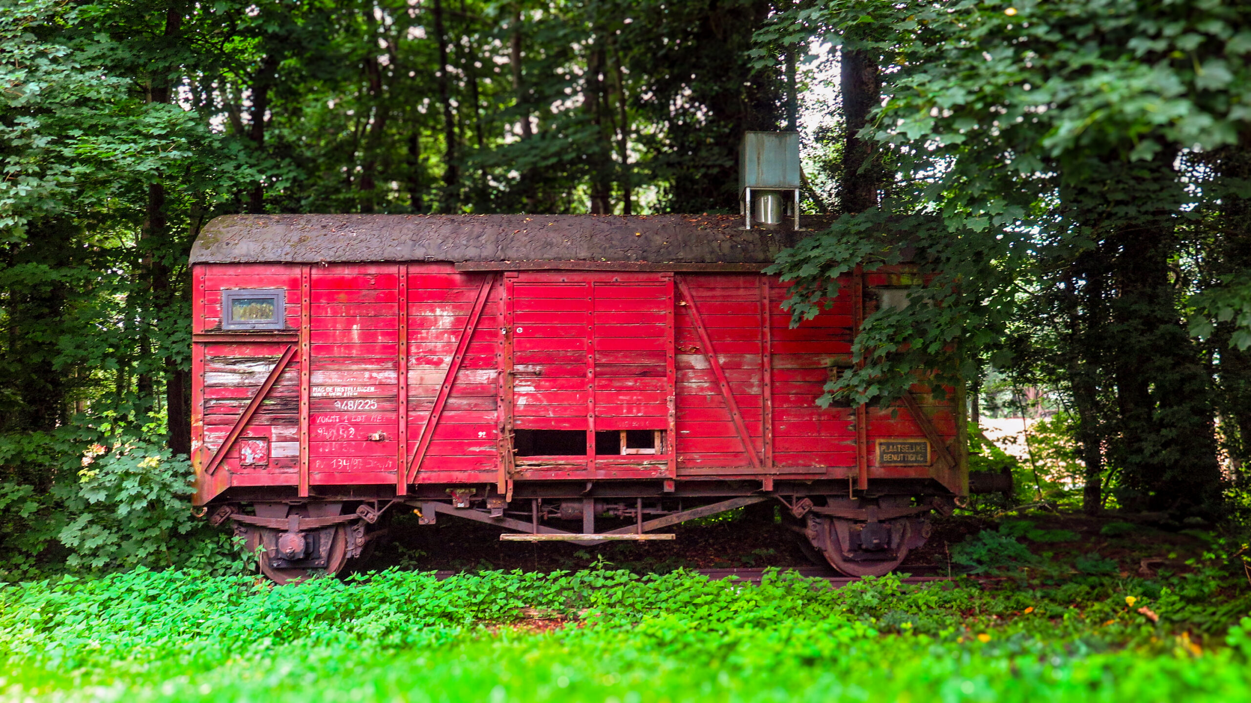 Rode Treinwagon in het groen van Tervuren