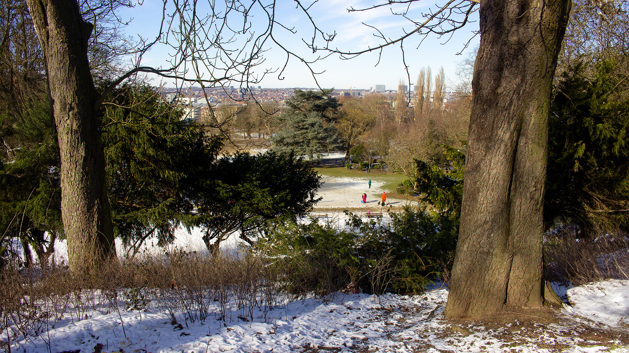 Winterse wandeling in Brussels park