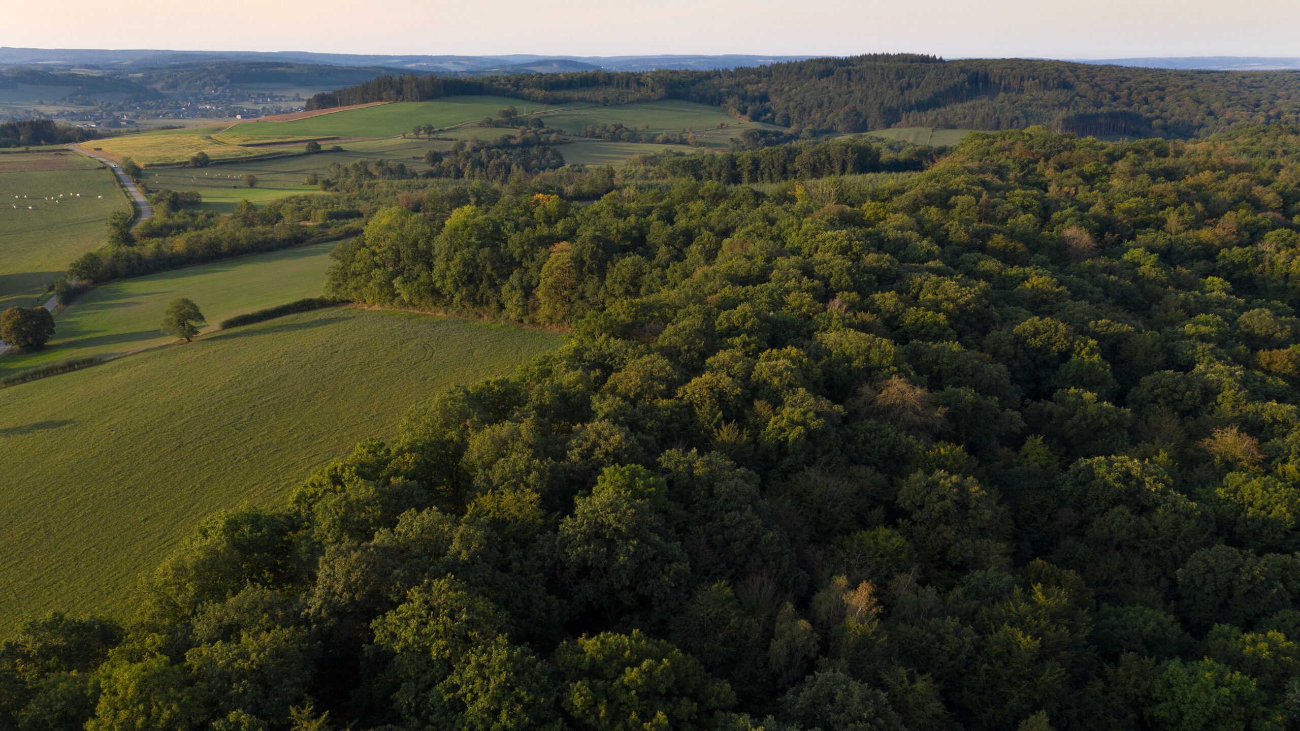 Luchtbeeld Ardennen