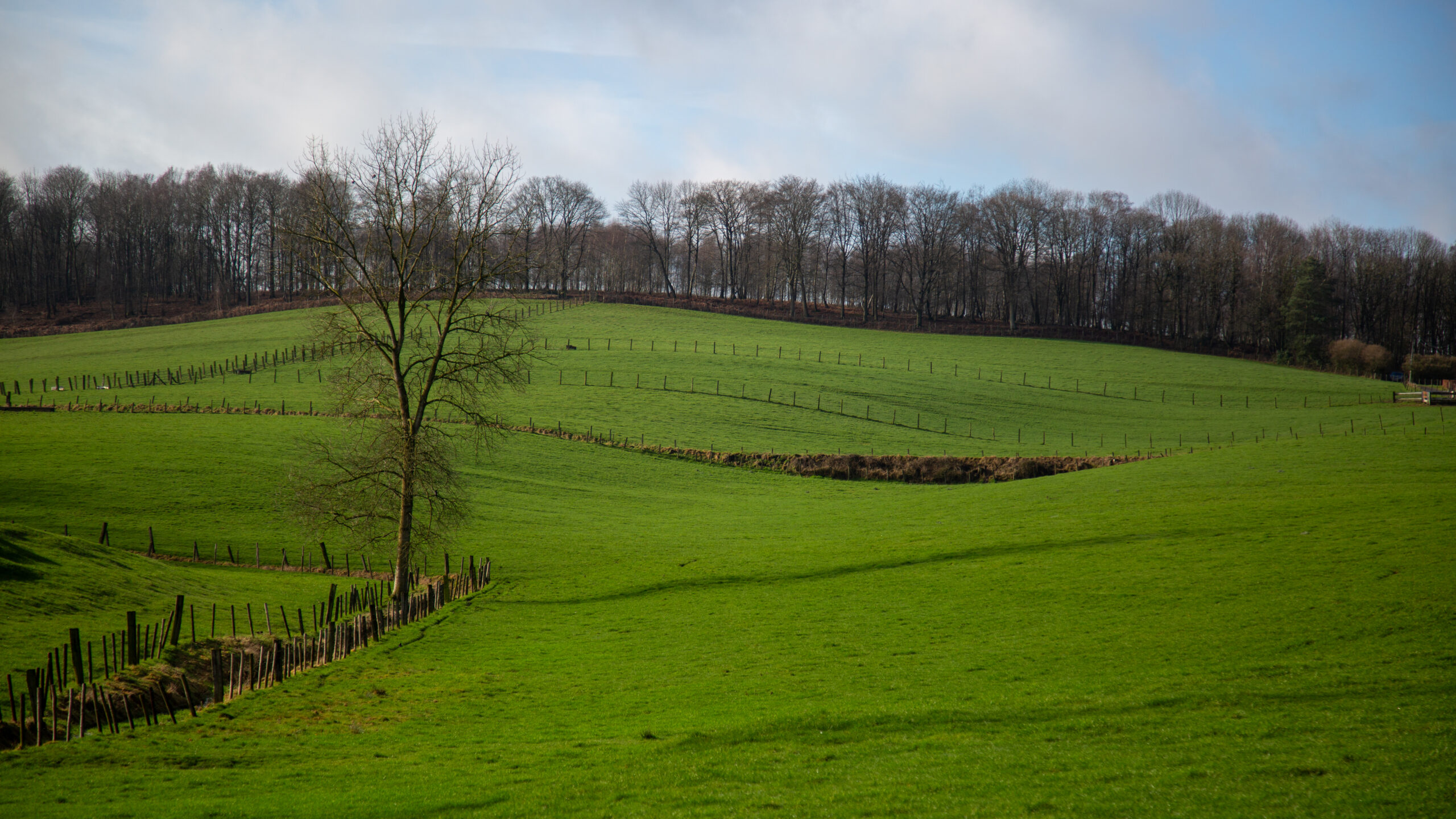 heuvelachtig landschap Vlaamse Ardennen
