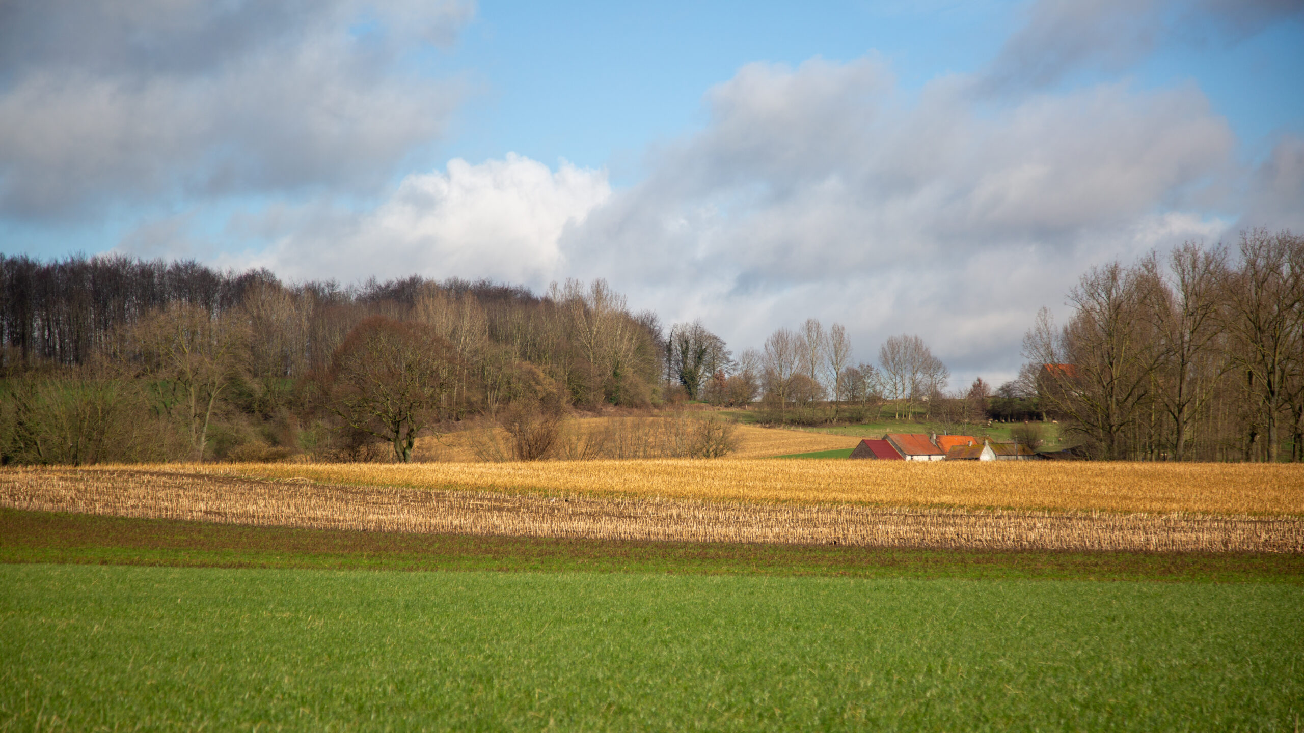 Vlaamse Ardennen omgeving