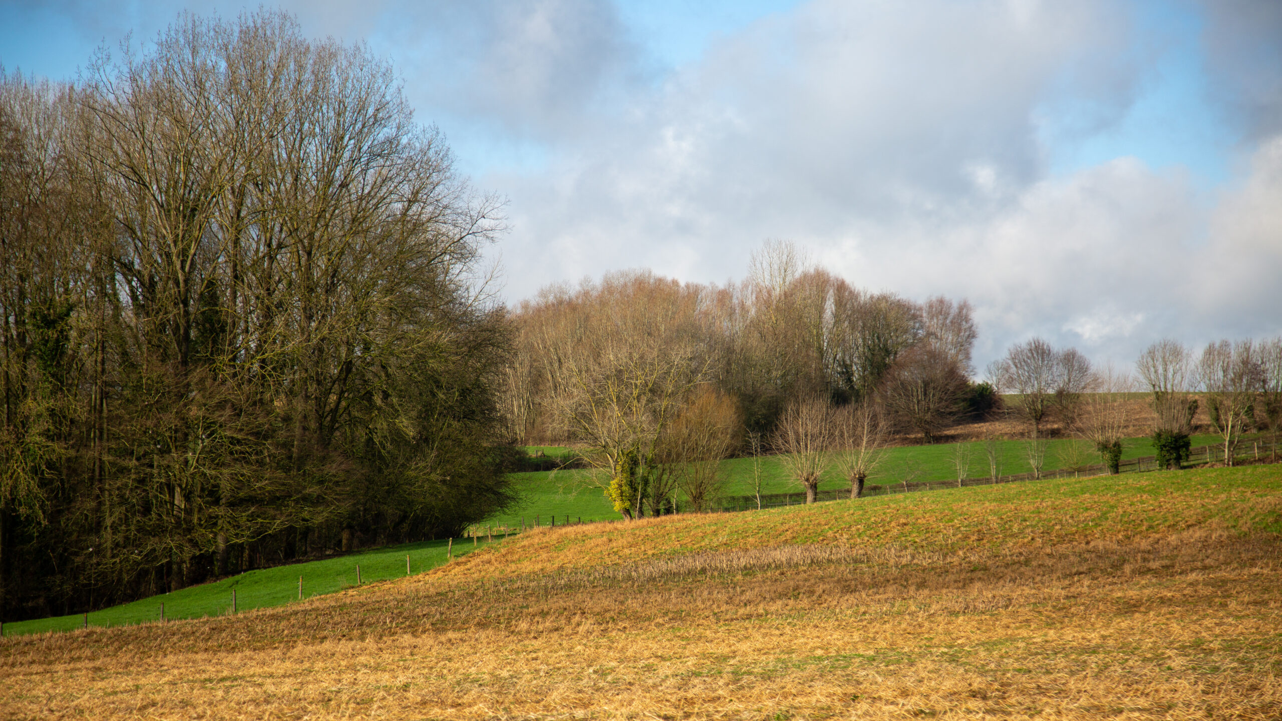 Landschap Vlaamse Ardennen