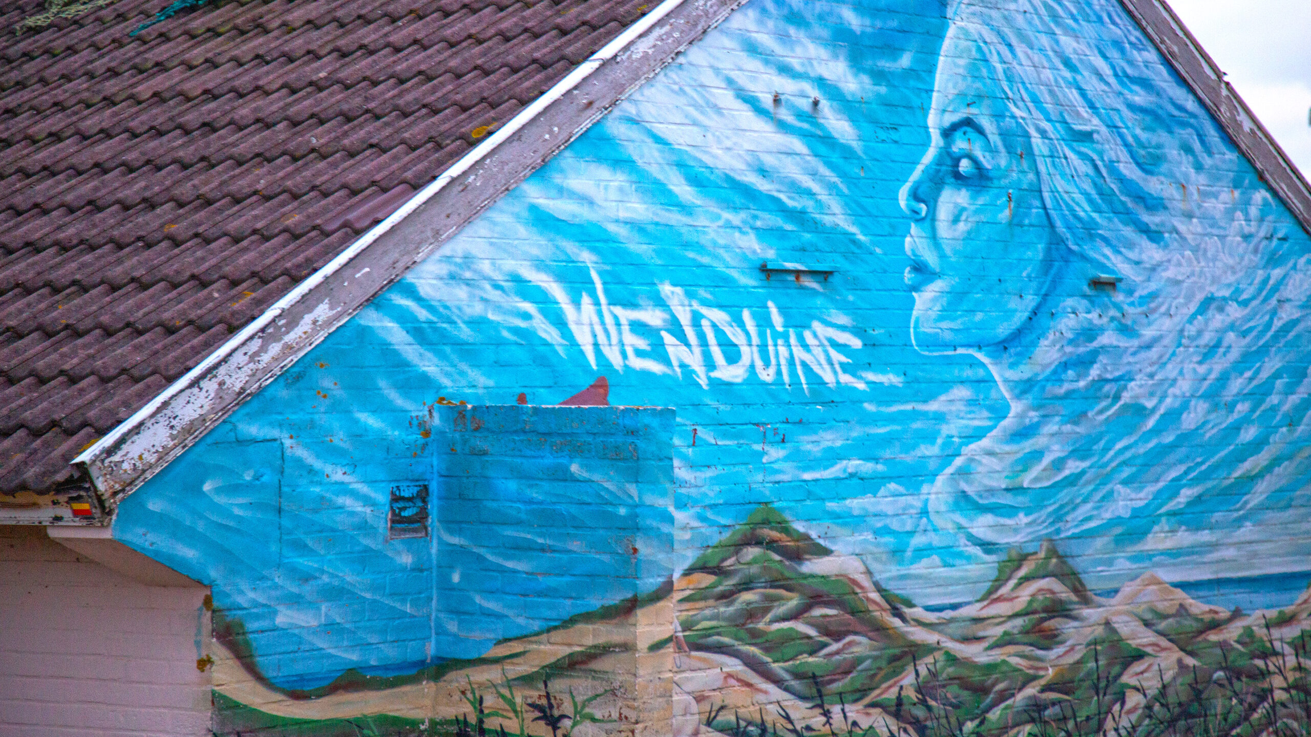 Streetart - muurschildering Wenduine langs Groene Halte-wandeling