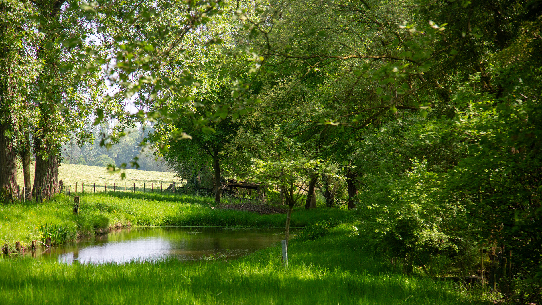 een prachtig plekje in de Vlaamse Ardennen