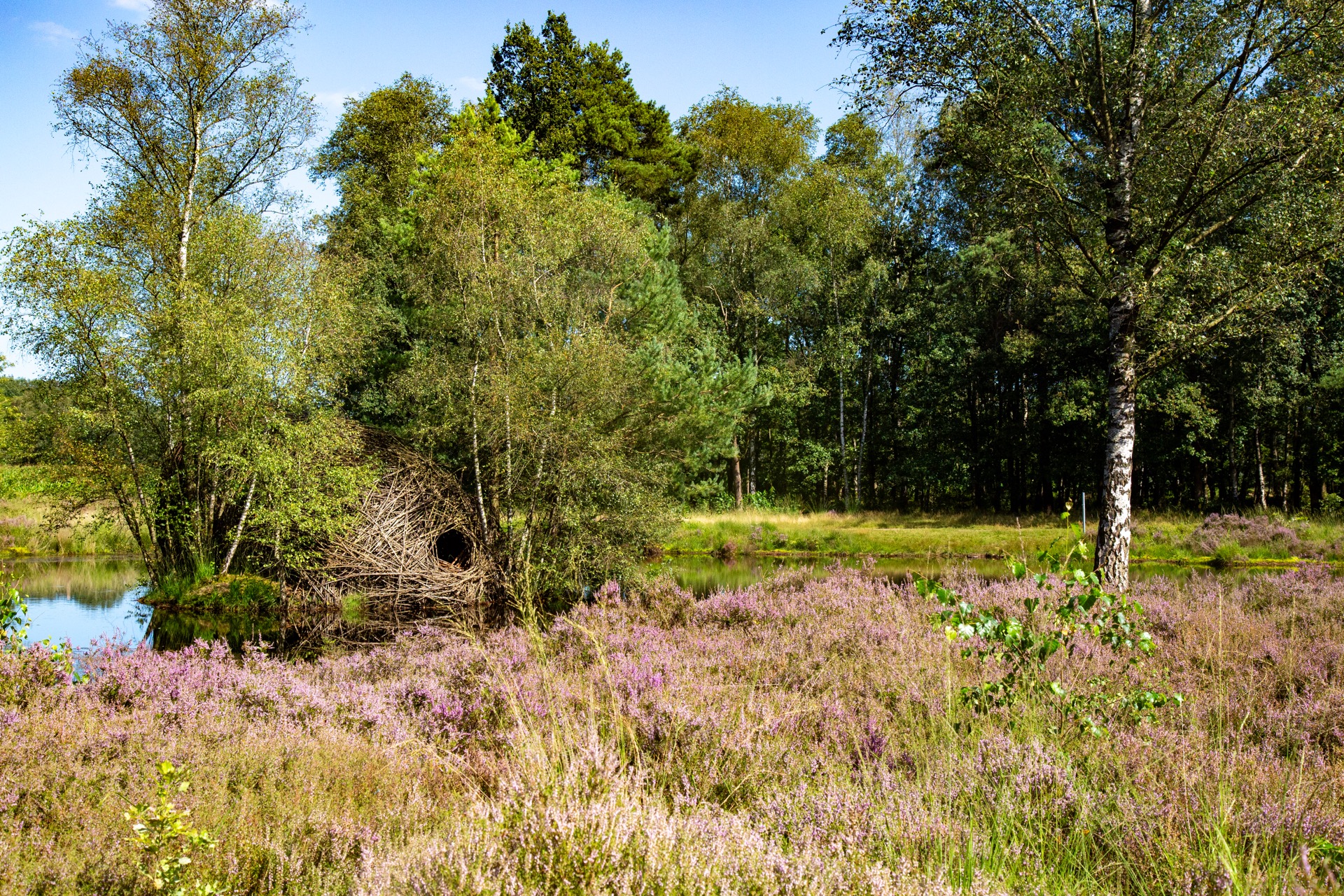 Treinstapper van station naar station