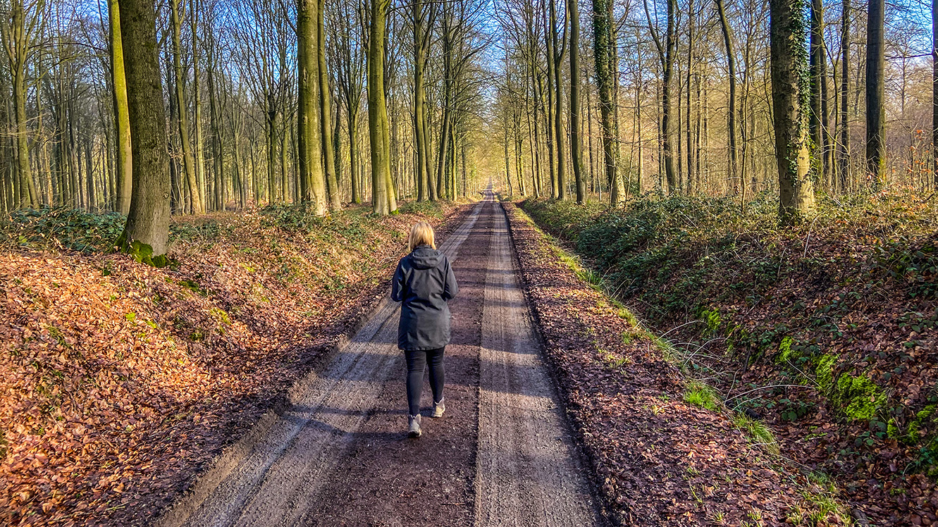 herfst in de Vlaamse Ardennen