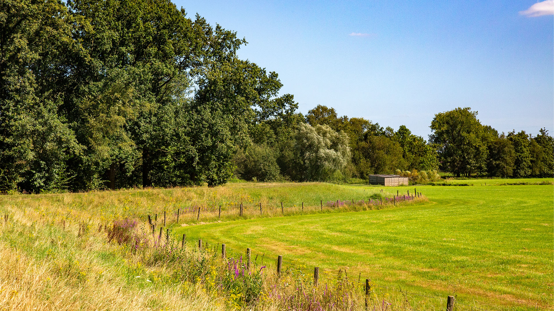 Wandepad richting oude dommel - Pelt